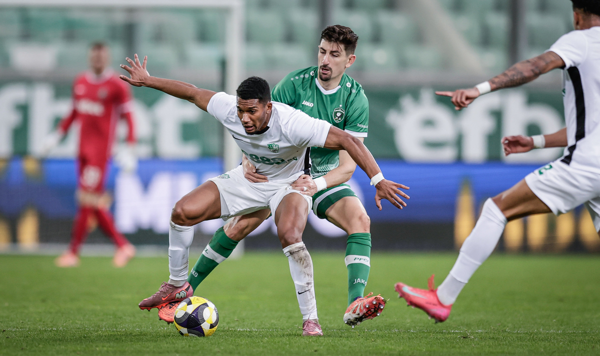 Лудогорец обърна Берое и доближи Левски