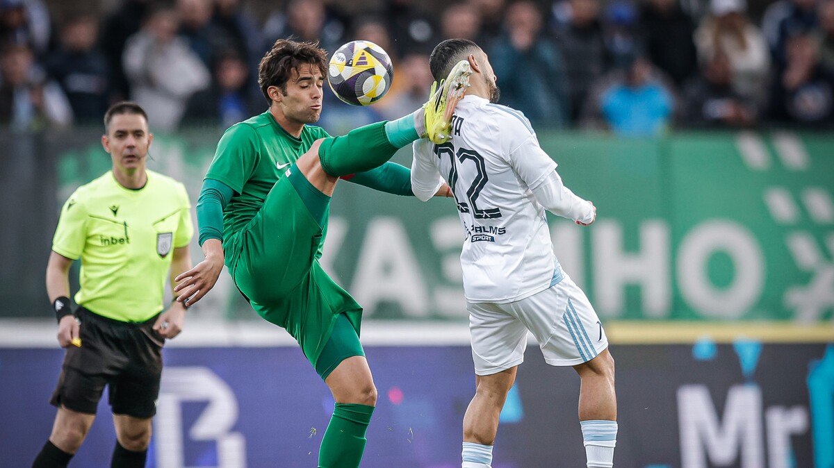 БФС: Голът на Берое срещу Левски е отменен правилно