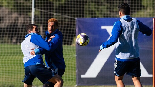 Официално от Левски: Луков и Алдаир тренираха с основната група